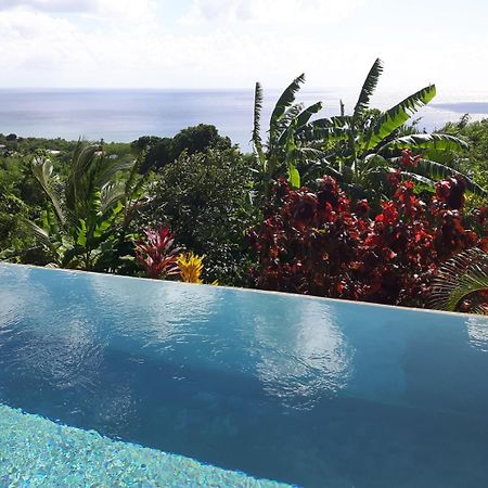 Kaye Mango Villa Soufrière Eksteriør billede