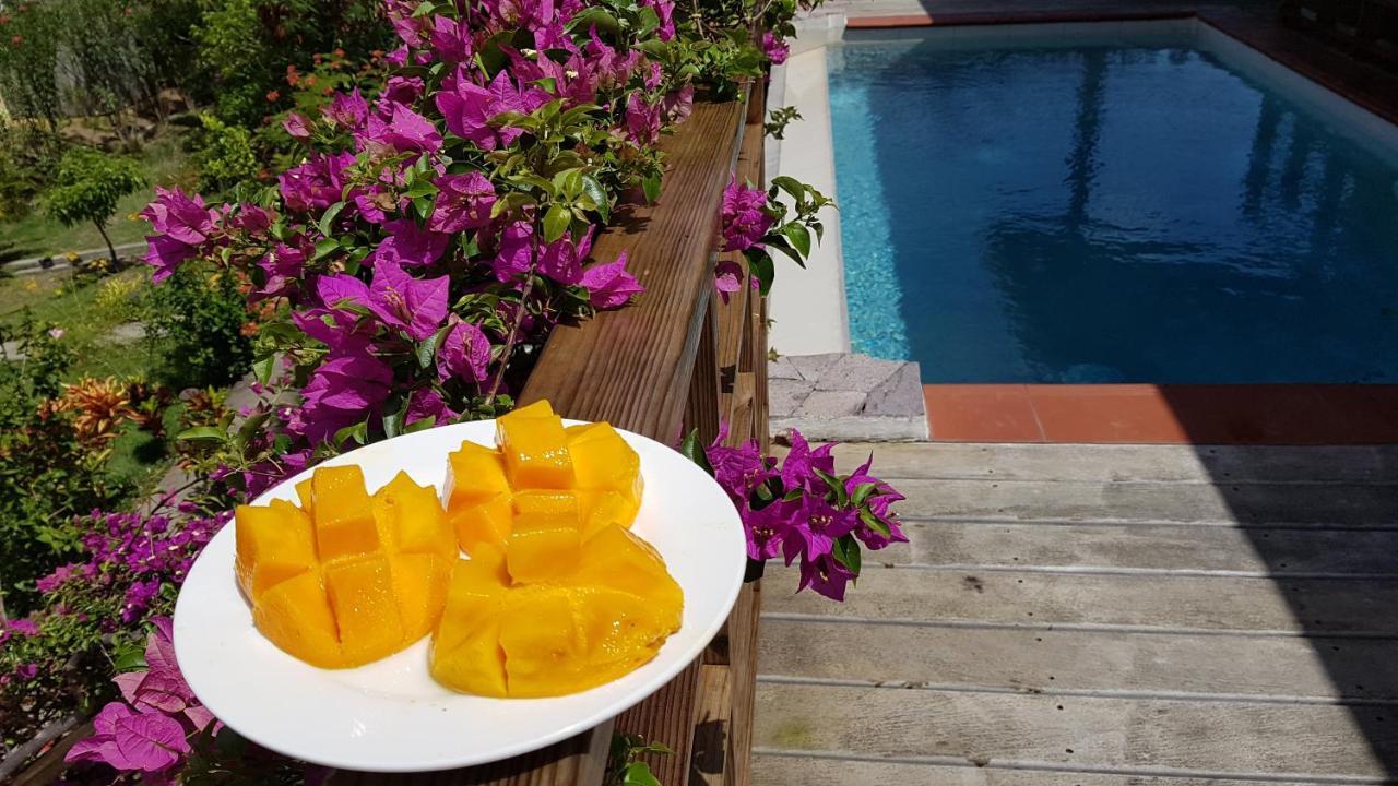 Kaye Mango Villa Soufrière Eksteriør billede