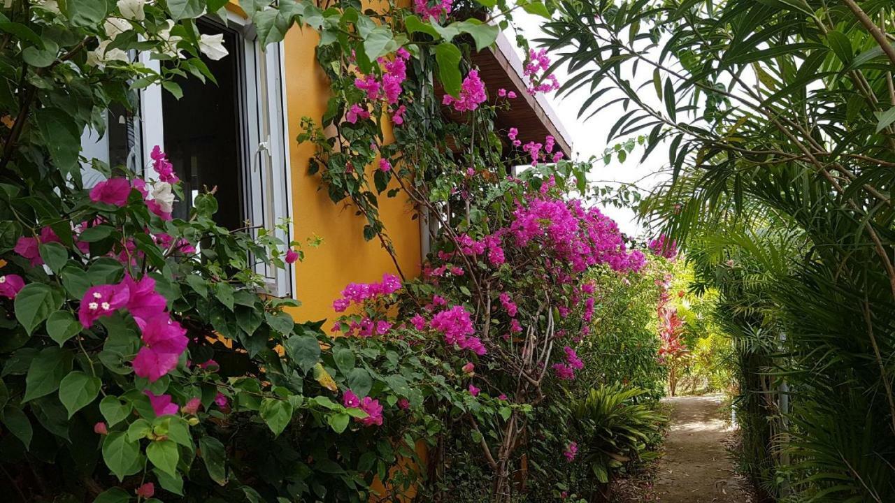 Kaye Mango Villa Soufrière Eksteriør billede