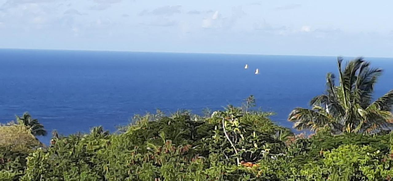 Kaye Mango Villa Soufrière Eksteriør billede