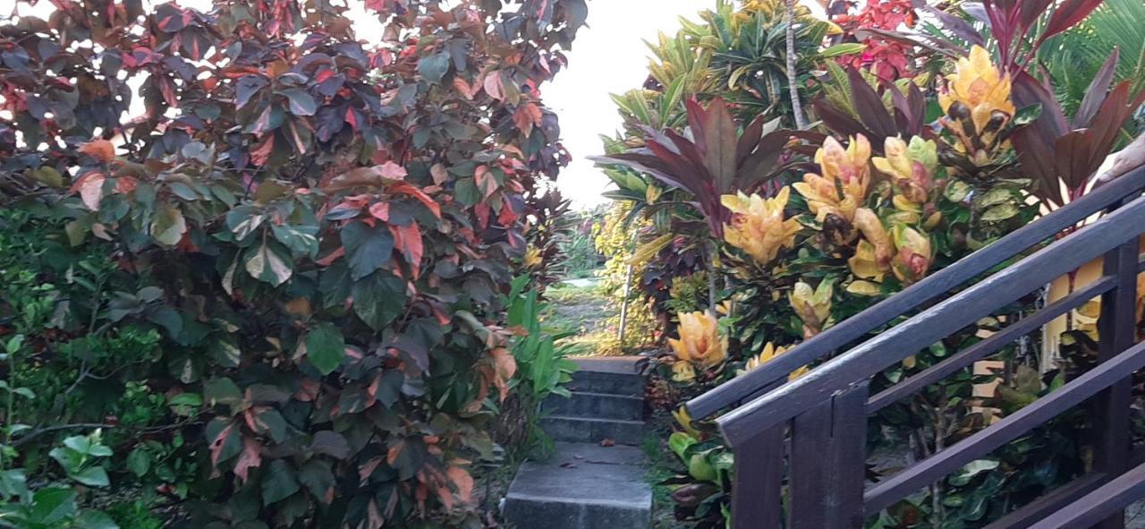Kaye Mango Villa Soufrière Eksteriør billede