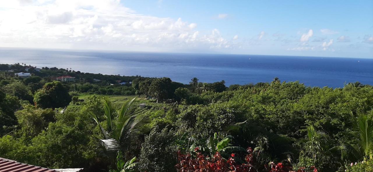 Kaye Mango Villa Soufrière Eksteriør billede