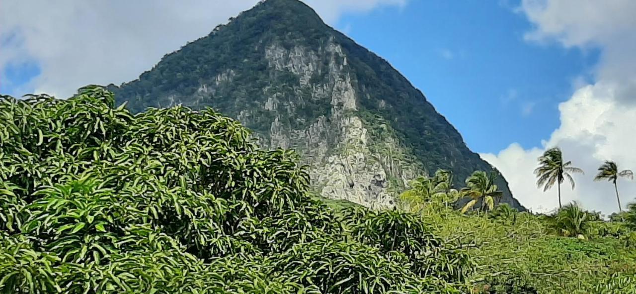 Kaye Mango Villa Soufrière Eksteriør billede