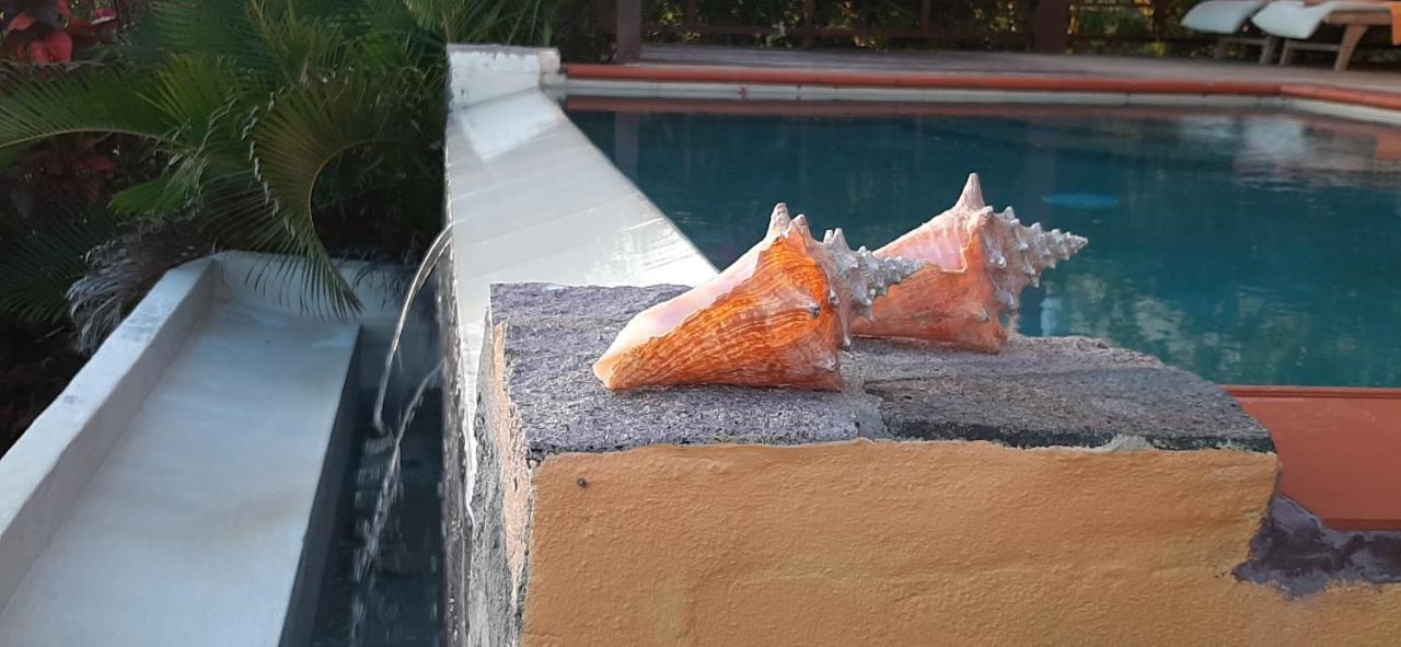 Kaye Mango Villa Soufrière Eksteriør billede